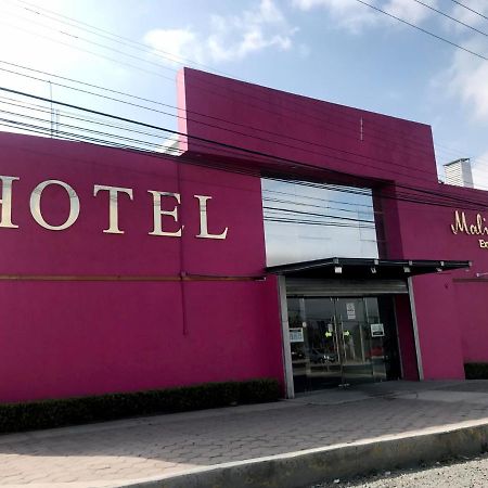 Malinalli Express Apizaco Eksteriør bilde